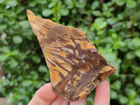 Natural Nguni Jasper Cobbed Specimens x 12 From Northern Cape, South Africa