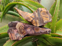 Natural Nguni Jasper Cobbed Specimens x 12 From Northern Cape, South Africa