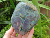 Polished Purple Flash Labradorite Standing Free Forms x 2 From Tulear, Madagascar