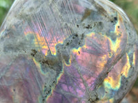 Polished Purple Flash Labradorite Standing Free Forms x 2 From Tulear, Madagascar