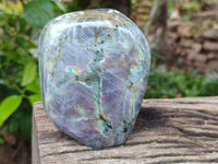 Polished Purple Flash Labradorite Standing Free Forms x 2 From Tulear, Madagascar