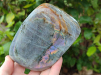 Polished Purple Flash Labradorite Standing Free Forms x 2 From Tulear, Madagascar
