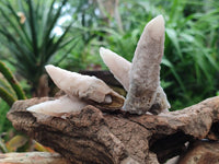Natural Drusy Quartz Coated Spearhead Calcite Specimens x 12 From Albert's Mountain, Lesotho