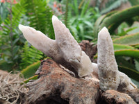 Natural Drusy Quartz Coated Spearhead Calcite Specimens x 12 From Albert's Mountain, Lesotho