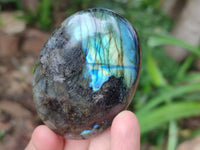Polished Labradorite Galets x 12 From Tulear, Madagascar