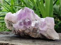 Natural Jacaranda Amethyst Crystal Clusters x 2 From Mumbwa, Zambia