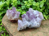 Natural Jacaranda Amethyst Crystal Clusters x 2 From Mumbwa, Zambia