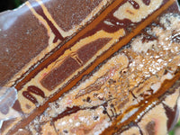 Polished On One Side Nguni Jasper Slices x 3 From Northern Cape, South Africa