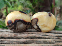 Polished Septerye Galets x 12 From Mahajanga, Madagascar