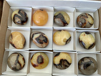 Polished Septerye Galets x 12 From Mahajanga, Madagascar