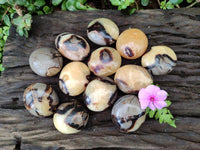 Polished Septerye Galets x 12 From Mahajanga, Madagascar