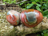 Polished On One Side Polychrome Jasper Nodules x 12 From NW Coast, Madagascar