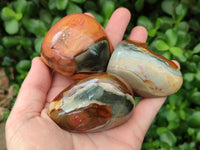 Polished On One Side Polychrome Jasper Nodules x 12 From NW Coast, Madagascar