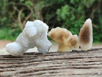 Natural Drusy Snow Finger Crystals x 20 From Albert's Mountain, Lesotho