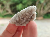 Natural Drusy Snow Finger Crystals x 20 From Albert's Mountain, Lesotho