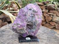 Natural Stichtite Cobbed Specimens x 2 From Barberton, South Africa