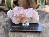 Natural Sunburst Amethyst Spirit Clusters x 6 From Boekenhouthoek, South Africa