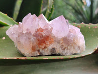 Natural Sunburst Amethyst Spirit Clusters x 6 From Boekenhouthoek, South Africa