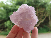 Natural Sunburst Amethyst Spirit Clusters x 6 From Boekenhouthoek, South Africa