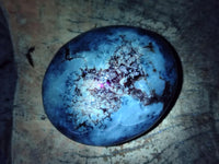 Polished Dendritic Opal Palm Stones x 12 From Moralambo, Madagascar