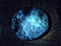 Polished Dendritic Opal Palm Stones x 12 From Moralambo, Madagascar