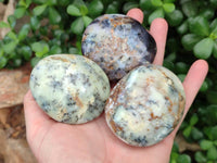Polished Dendritic Opal Palm Stones x 12 From Moralambo, Madagascar