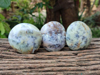 Polished Dendritic Opal Palm Stones x 12 From Moralambo, Madagascar