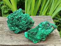 Natural Silky Malachite Specimens x 2 From Kasompe, Congo