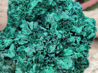 Natural Silky Malachite Specimens x 2 From Kasompe, Congo