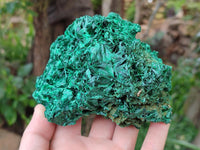 Natural Silky Malachite Specimens x 2 From Kasompe, Congo