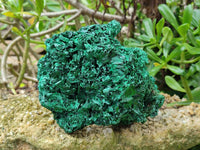 Natural Silky Malachite Specimens x 2 From Kasompe, Congo