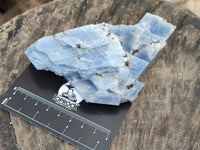 Natural Sky Blue Calcite Specimens x 12 From Namibia