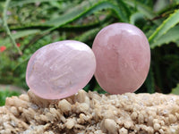 Polished Rose Quartz Palm Stones x 20 From Madagascar