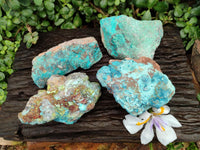 Natural Shattuckite Cobbed Pieces x 4 From Kaokoveld, Namibia