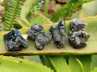 Natural Schorl Black Tourmaline Specimens x 27 From Erongo, Namibia