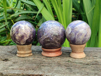 Polished Lepidolite Spheres x 3 From Madagascar