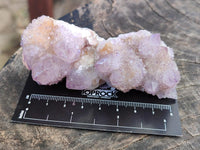 Natural Amethyst Spirit Clusters x 12 From Boekenhouthoek, South Africa