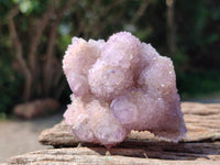 Natural Amethyst Spirit Clusters x 12 From Boekenhouthoek, South Africa