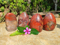 Polished Red Jasper Standing Free Forms x 4 From Madagascar