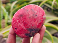 Polished Rhodonite Free Forms x 5 From Rhusinga, Zimbabwe