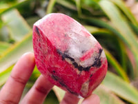 Polished Rhodonite Free Forms x 5 From Rhusinga, Zimbabwe