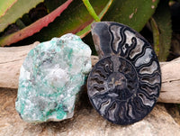 Natural Mix Of Multi Mineral Specimens x 6 From Southern Africa