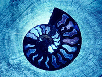 Natural Mix Of Multi Mineral Specimens x 6 From Southern Africa