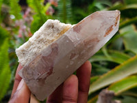 Natural Mix Of Multi Mineral Specimens x 6 From Southern Africa