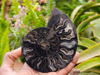 Natural Mix Of Multi Mineral Specimens x 6 From Southern Africa