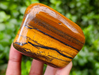 Polished Jumbo Golden Tigers Eye with Banded Iron Stone Free Forms x 4 From Prieska, South Africa