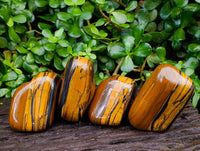 Polished Jumbo Golden Tigers Eye with Banded Iron Stone Free Forms x 4 From Prieska, South Africa