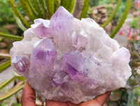 Natural Jacaranda Amethyst Crystal Clusters x 2 From Mumbwa, Zambia