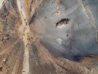 Polished On One Side Petrified Wood Branches x 2 From Gokwe, Zimbabwe