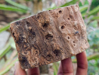 Polished On One Side Petrified Wood Branches x 2 From Gokwe, Zimbabwe